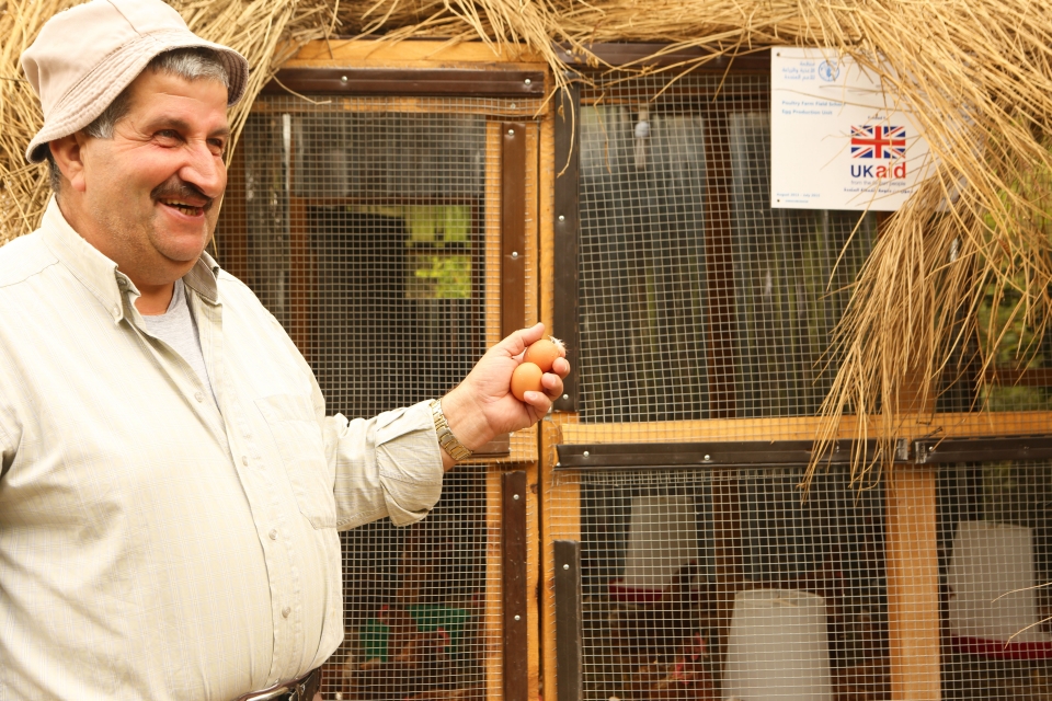 Developing solutions to support the successful implementation of Poultry Farmer Field Schools
